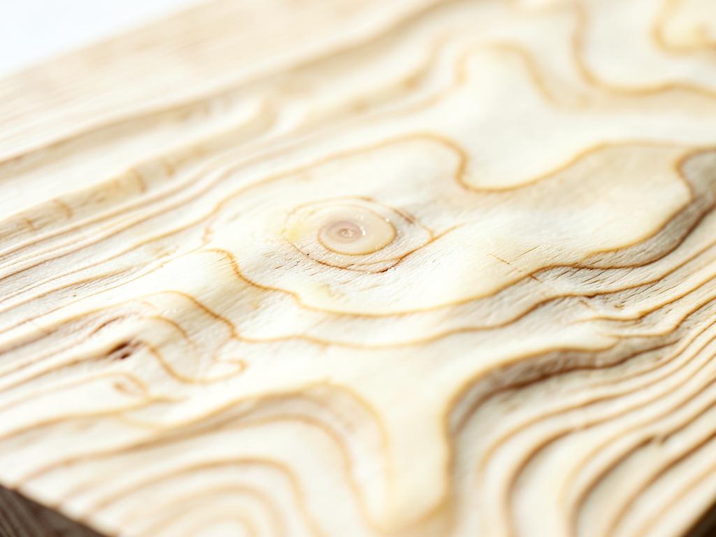 Close-up of Curly Maple hardwood grain